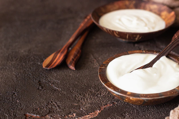 natural homemade organic yogurt coconut shell bowls fresh natural fermented milk product 132278 1952
