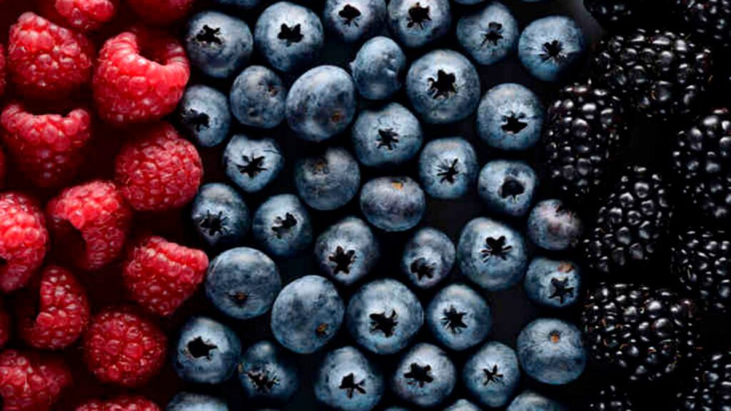 reasons to eat berries 1296x728 feature
