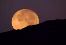 बीवर मून 2024: वर्ष का अंतिम सुपरमून और आकाशदर्शियों के लिए एक आश्चर्यजनक खगोलीय घटना! |